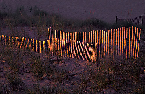 P-235-1-Sand-Fences-Cape-Co.jpg