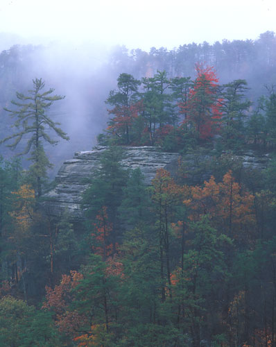 RRG2 - Fall1-Red River Gorge, Kentucky