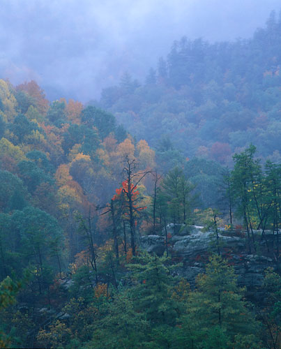 RRG3 - Fall0-Red River Gorge, Kentucky