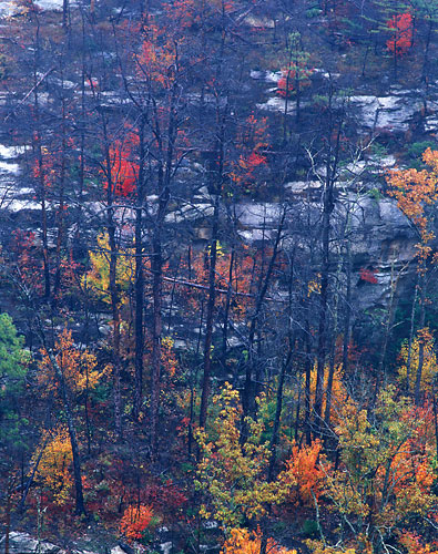 RRG4 - Fall-Red River Gorge, Kentucky