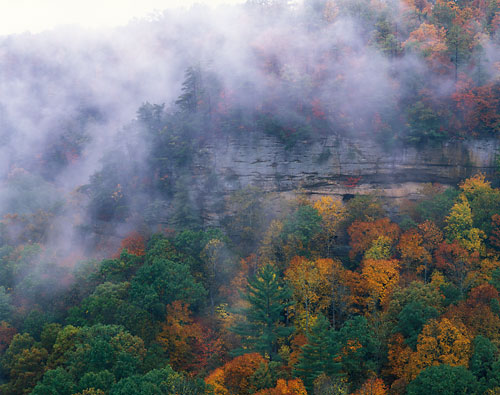 RRG6 - Fall3-Red River Gorge, Kentucky