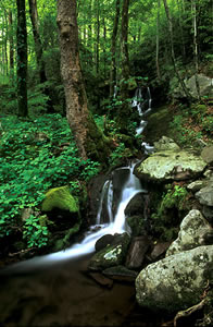 GSM2 Waterfall, Great Smoky Mountains
