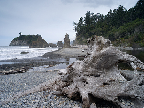Second_Beach_Olympic_National_Park_WA